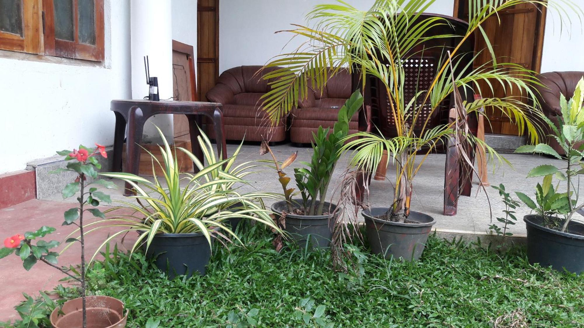 Share Safari House Udawalawe Bed & Breakfast Exterior foto